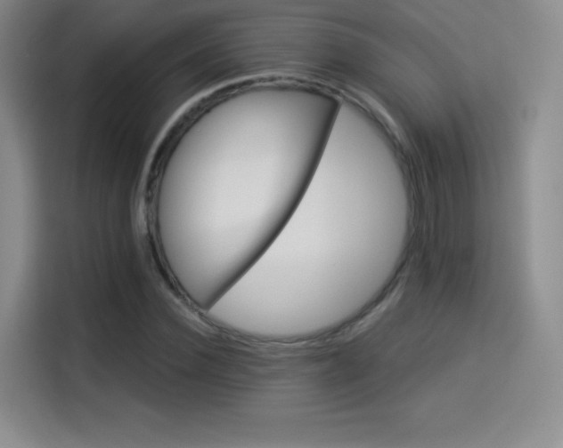 X0000114100924200910131319