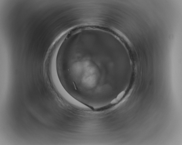 X0000114100925200910131319