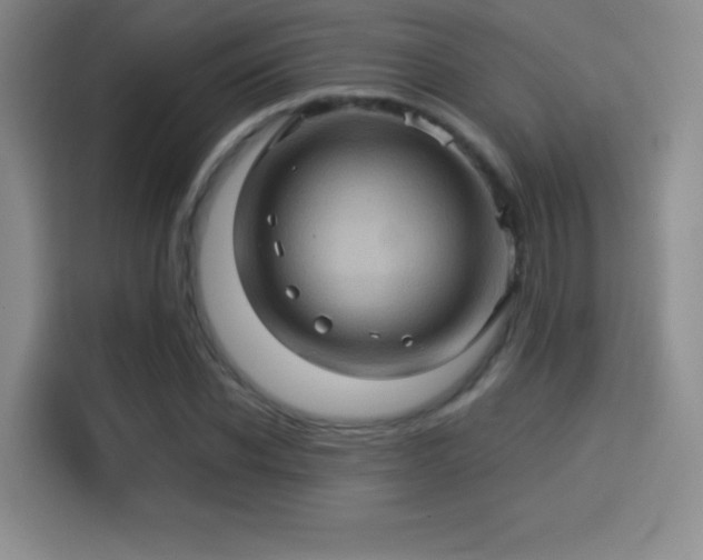 X0000114100926200910131319