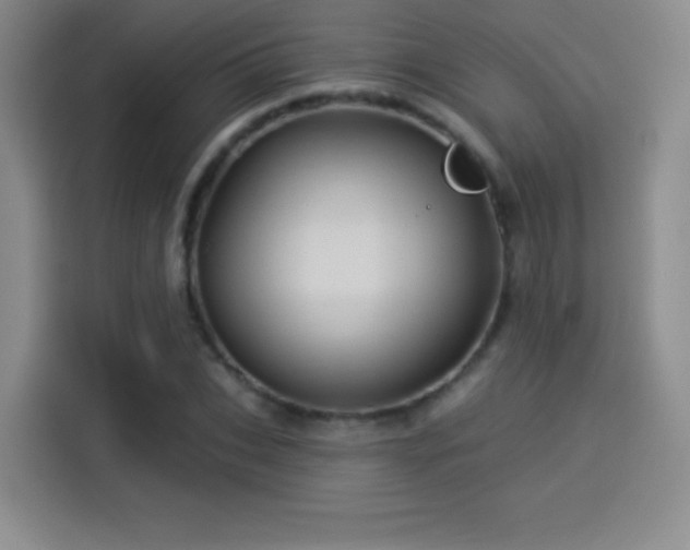 X0000114100927200910131319