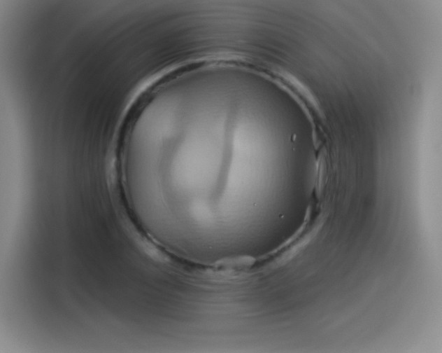 X0000114100928200910131319