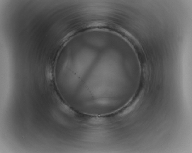 X0000114100929200910131319