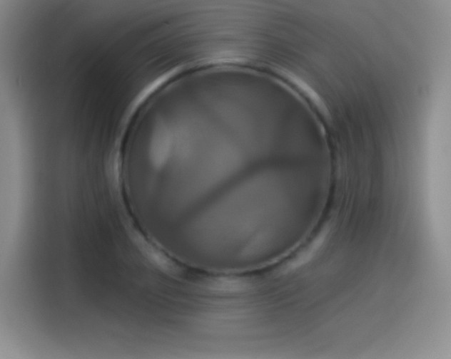 X0000114100933200910131319