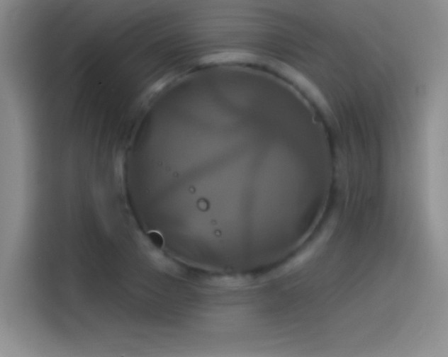 X0000114100937200910131319