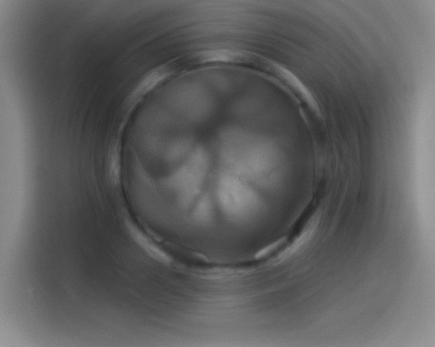 X0000114100938200910131319