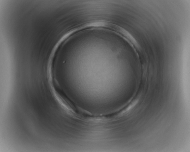 X0000114100939200910131319