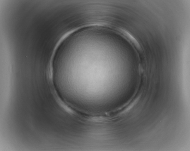 X0000114100940200910131319