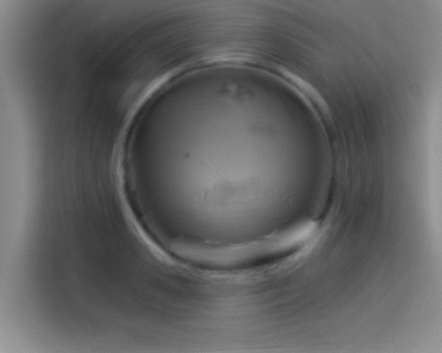 X0000114100941200910131319