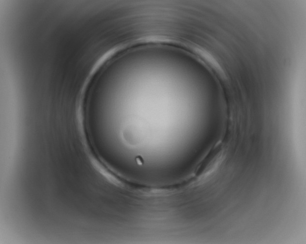 X0000114100942200910131319