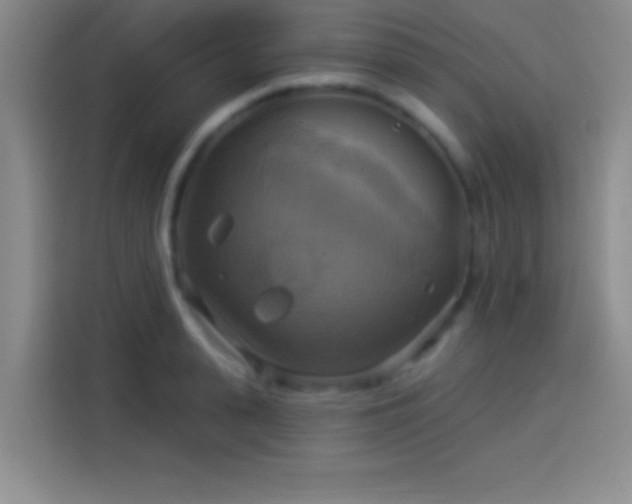 X0000114100943200910131319