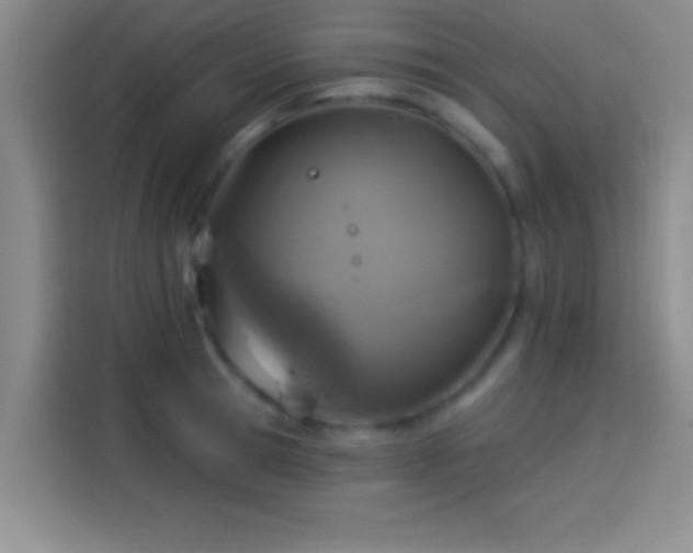 X0000114100945200910131319