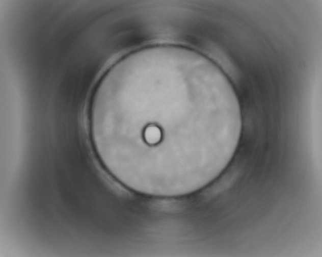 X0000114100950200910131319