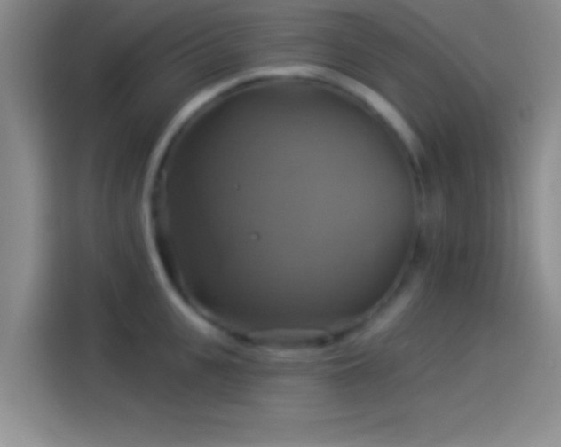 X0000114100951200910131319