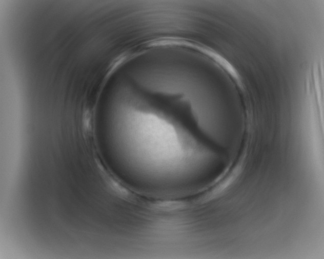 X0000114100953200910131319