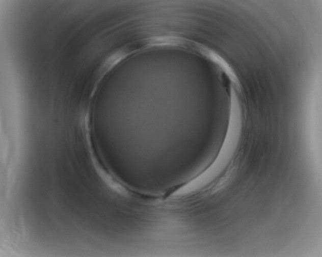 X0000114100954200910131319