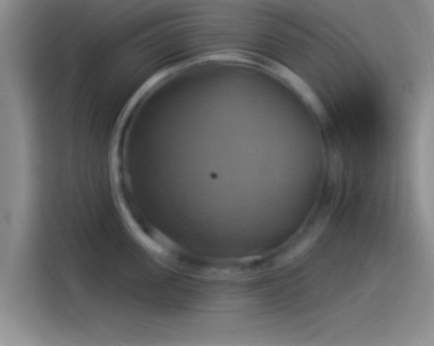 X0000114100955200910131319