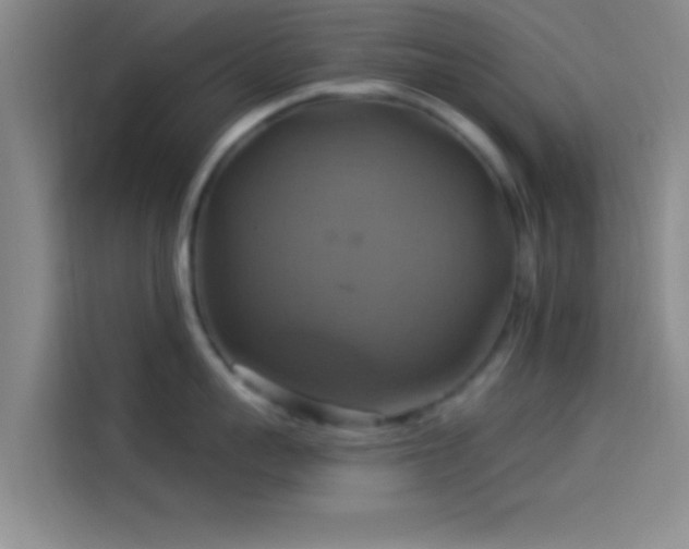 X0000114100959200910131319