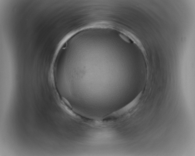 X0000114100960200910131319