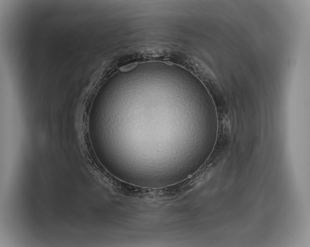 X0000114100961200910131319