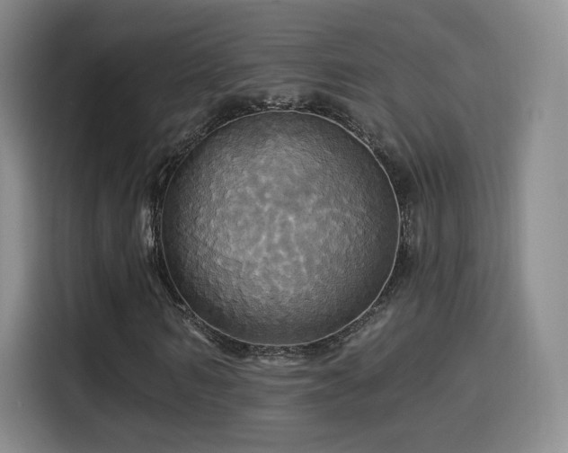 X0000114100962200910131319