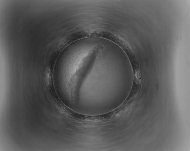 X0000114100963200910131319