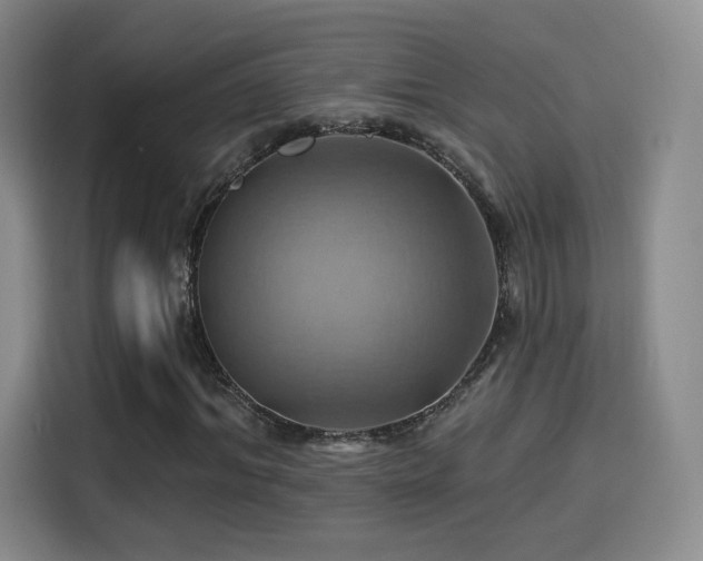 X0000114100964200910131319