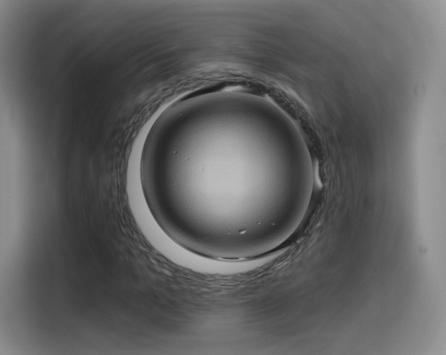 X0000114100965200910131319