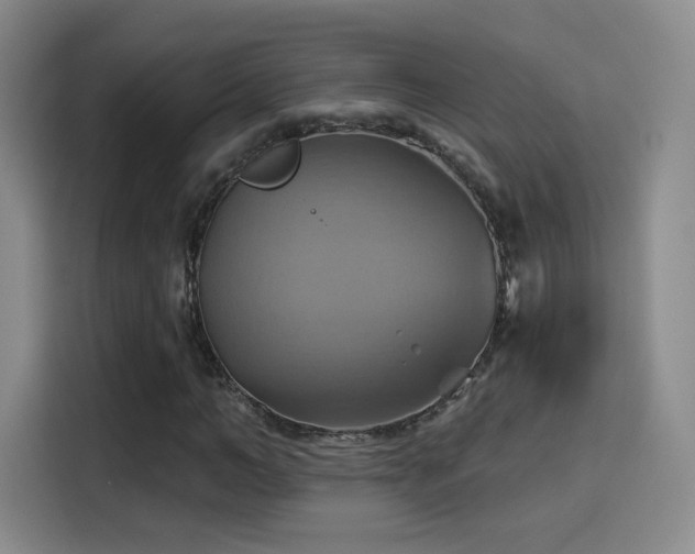 X0000114100966200910131319