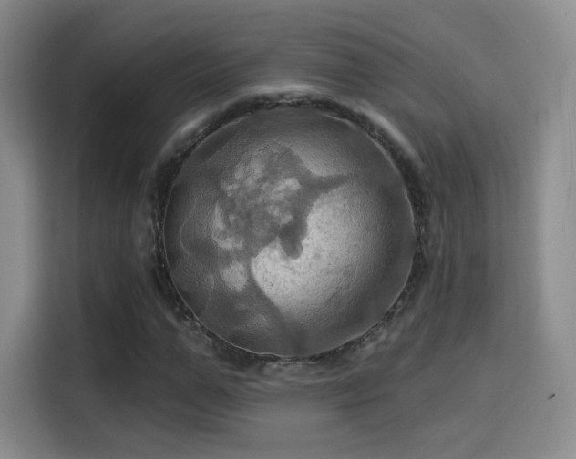 X0000114100967200910131319