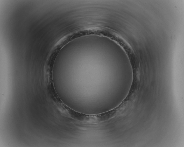 X0000114100968200910131319