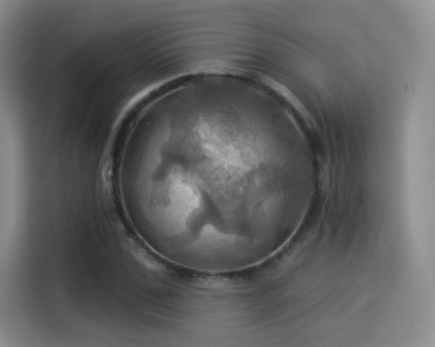 X0000114100971200910131319