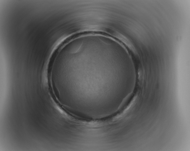 X0000114100972200910131319