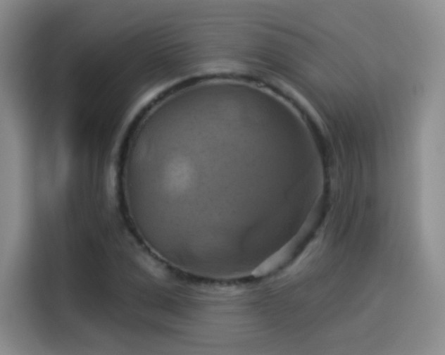 X0000114100975200910131319