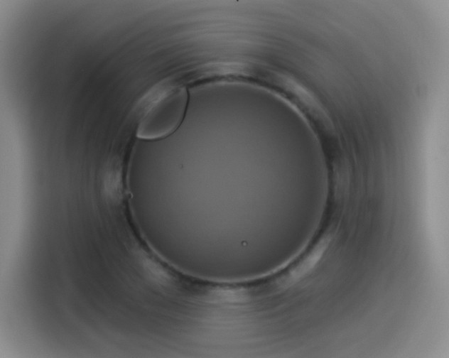 X0000114100977200910131319