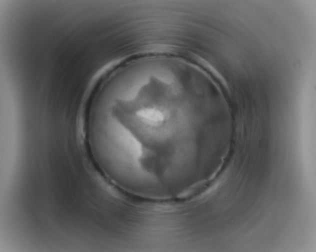 X0000114100979200910131319