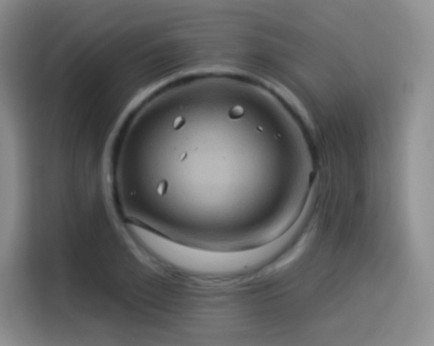 X0000114100981200910131319