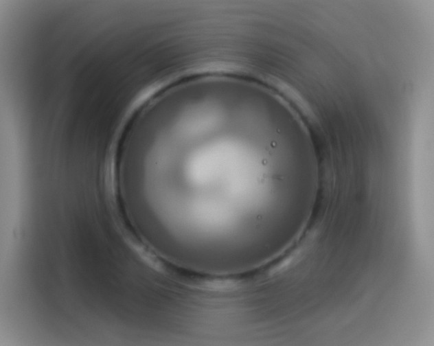 X0000114100982200910131319