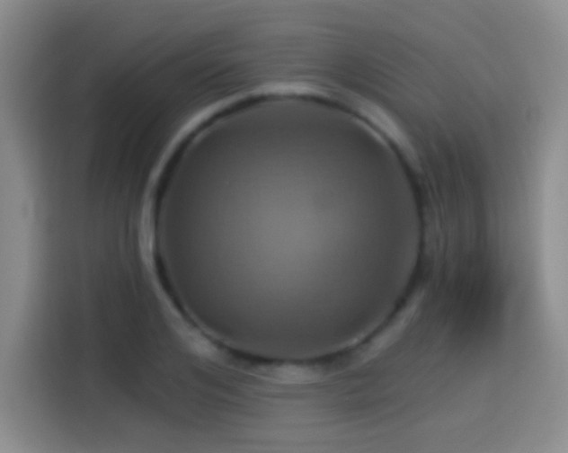 X0000114100984200910131319