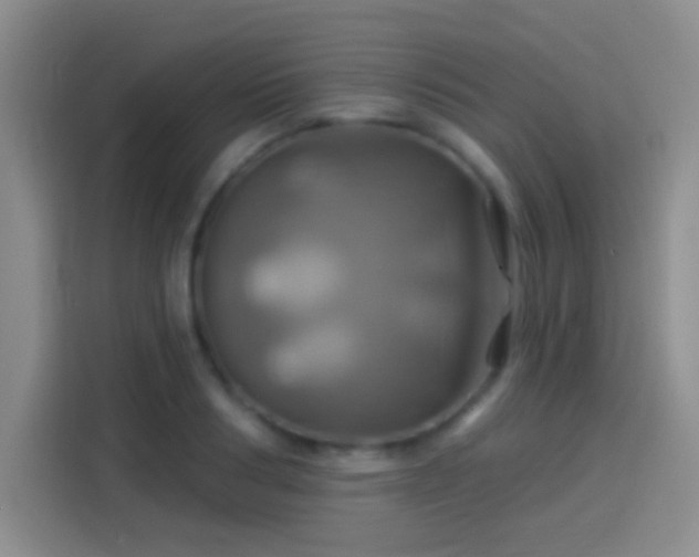 X0000114100986200910131319