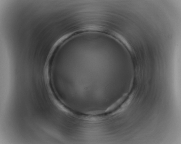 X0000114100987200910131319