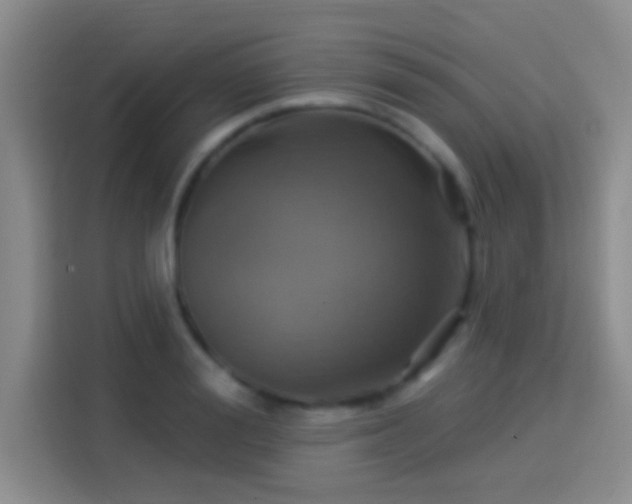 X0000114100988200910131318