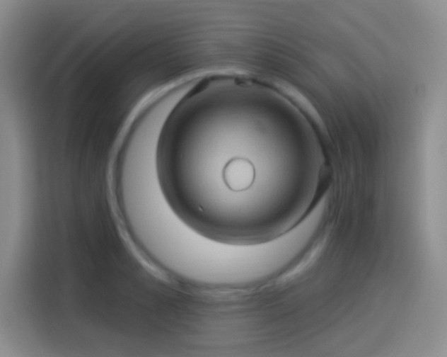 X0000114100989200910131318