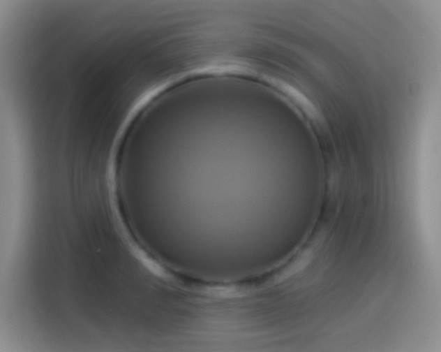 X0000114100990200910131318