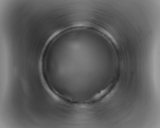 X0000114100991200910131318