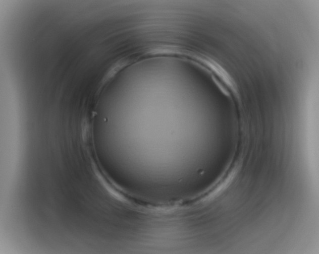 X0000114100993200910131318