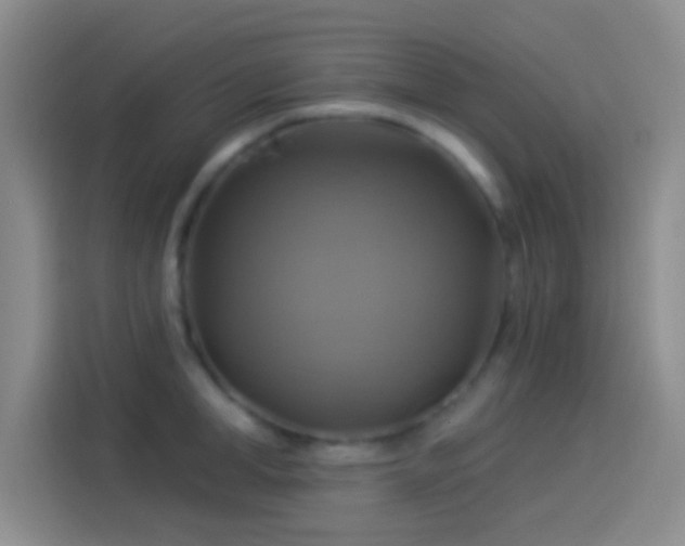 X0000114100998200910131318