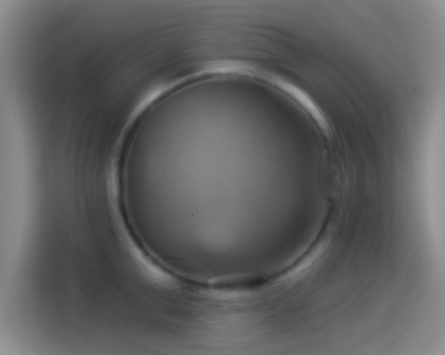 X0000114100999200910131318