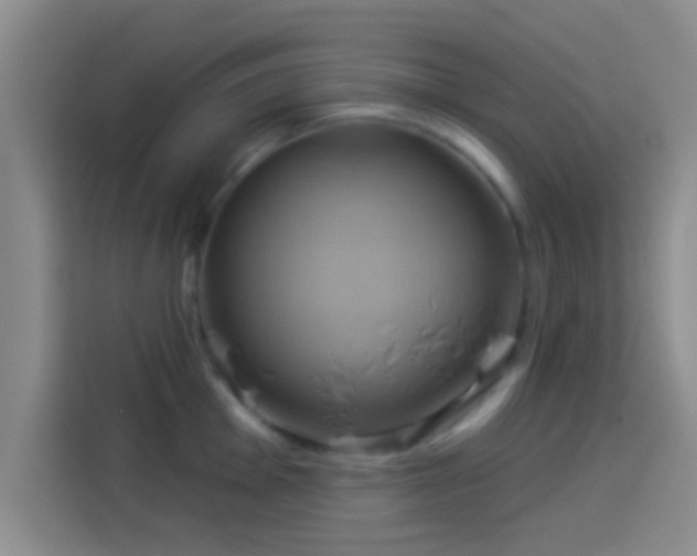 X0000114101001200910131318