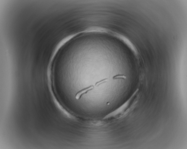 X0000114101003200910131318