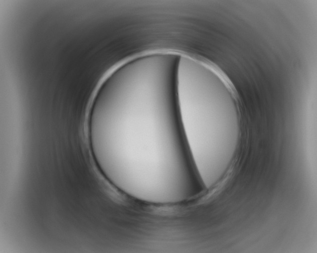 X0000114101004200910131318